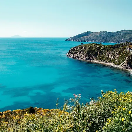Golfo Della Lacona-3 By Interhome דירה *